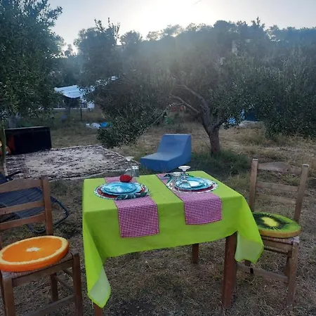 Under The Stars *